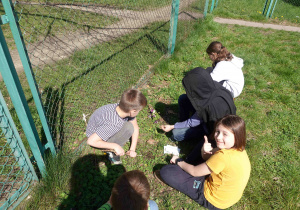 Grupa uczniów z klasy 4a sadzi kwiaty na trawie na terenie szkolnego boiska.