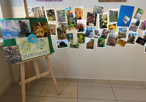 Plakat i zdjęcia wyeksponowane na szkolnym korytarzu z okazji Dnia Ziemi.