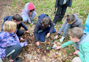 Uczniowie podczas gry terenowej w lesie. Poszukiwania ukrytych skarbów bursztynowych za pomocą lokalizatorów GPS i wykrywaczy metali