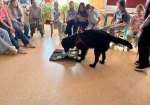 Ćwiczenia i zabawy podczas zajęć dogoterapii w klasie 4d