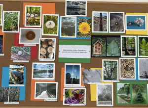Międzyszkolny Konkurs Fotograficzny “Matematyka i Przyroda w obiektywie”- Galeria prac