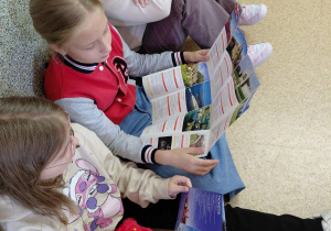 W ramach pracy z materiałami autentycznymi uczniowie oglądają brytyjskie ulotki i prospekty z miejsc turystycznych.