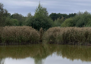 Staw Bielice - Uroczysko Lublinek.