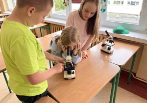 Uczniowie podczas obserwacji mikroskopowych.