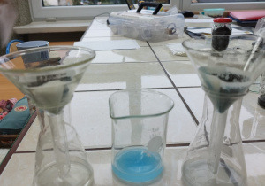 Analiza właściwości sorpcyjnych gleby