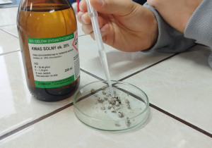 Uczniowie wykrywają węglany w wapieniu.