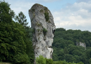 Maczuga Herkulesa